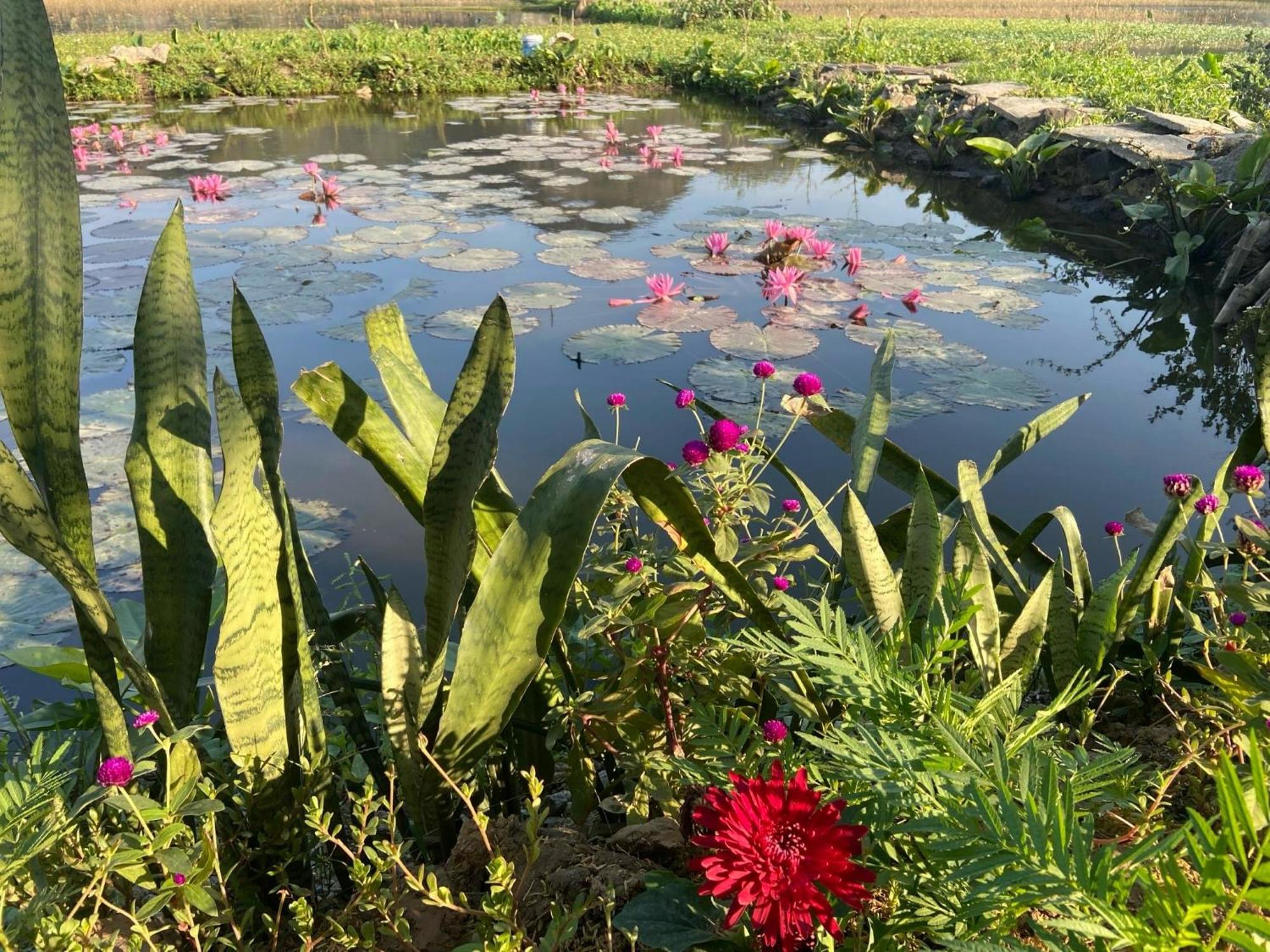 Tam Coc Mountain View Homestay Нин Бин Екстериор снимка